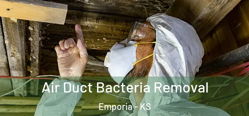  Air Duct Bacteria Removal Emporia - KS