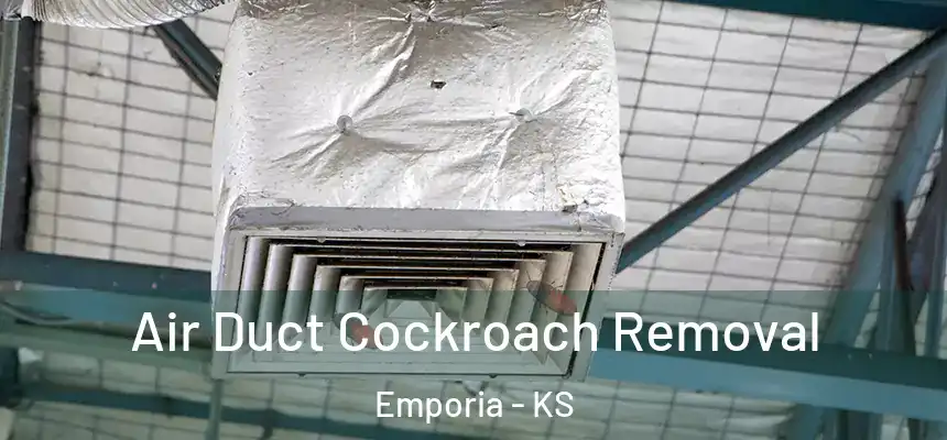  Air Duct Cockroach Removal Emporia - KS