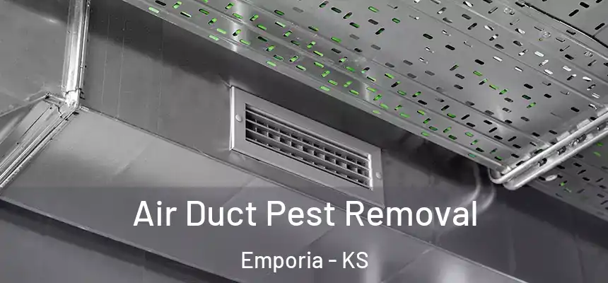  Air Duct Pest Removal Emporia - KS