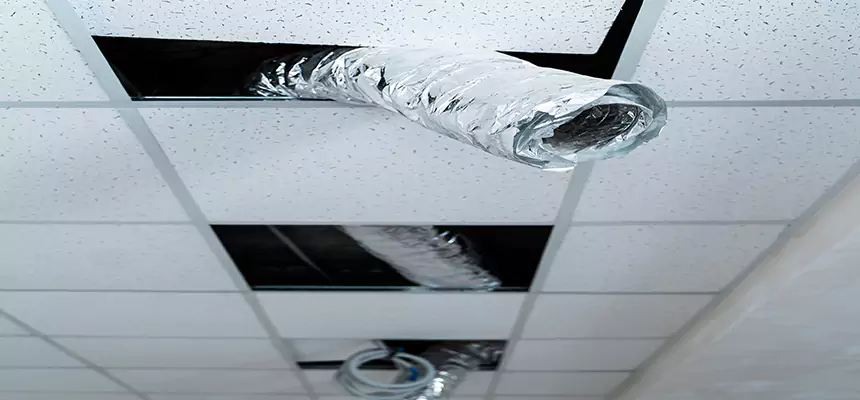 Affordable HVAC Sanitizing After Pest Removal in Emporia