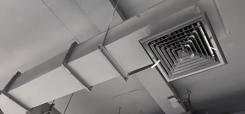 Our Pest Removal From Ducts Services in Emporia, KS