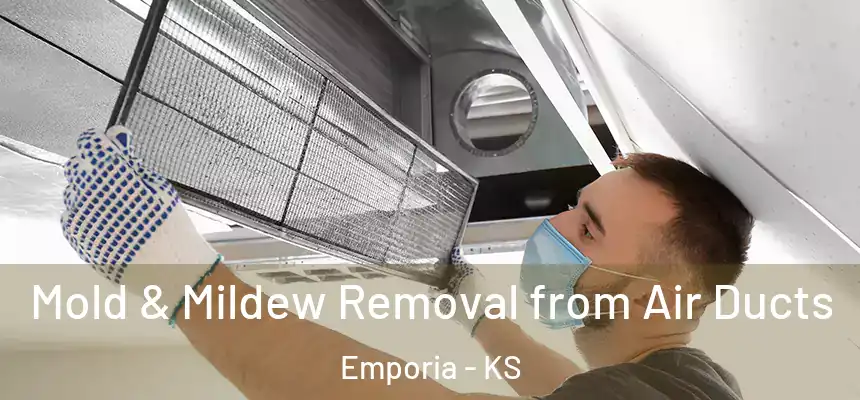  Mold & Mildew Removal from Air Ducts Emporia - KS