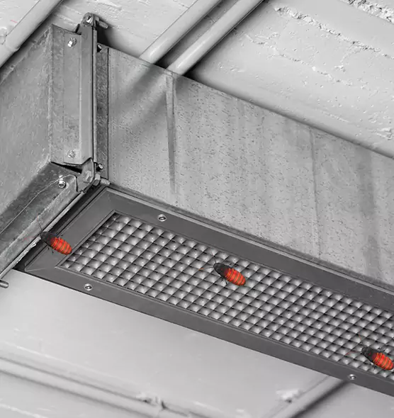 Affordable Insect Removal from Air Ducts in Emporia, KS